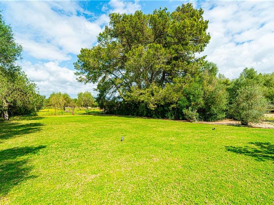 Finca i Algaida, Mallorca - foto 3